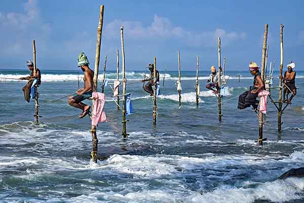 Galle