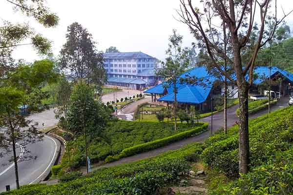 Nuwara Eliya