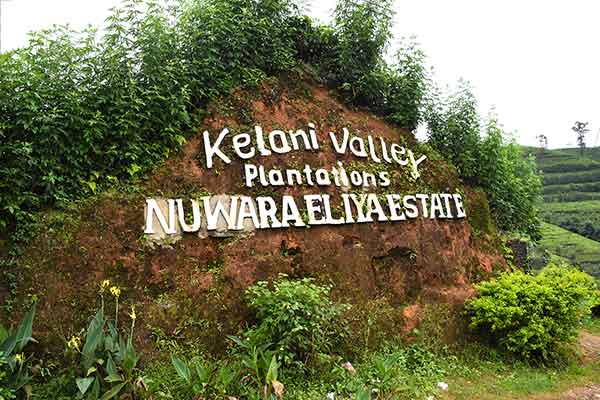 Nuwara Eliya