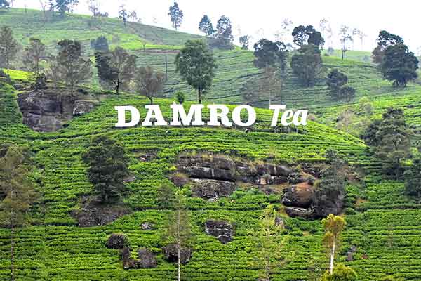 Nuwara Eliya, Srí Lanka