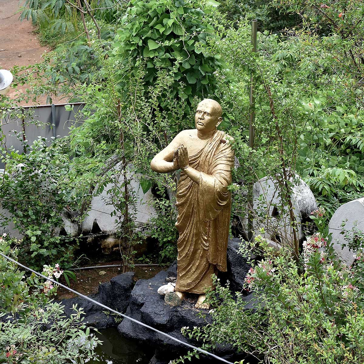 Kandy
