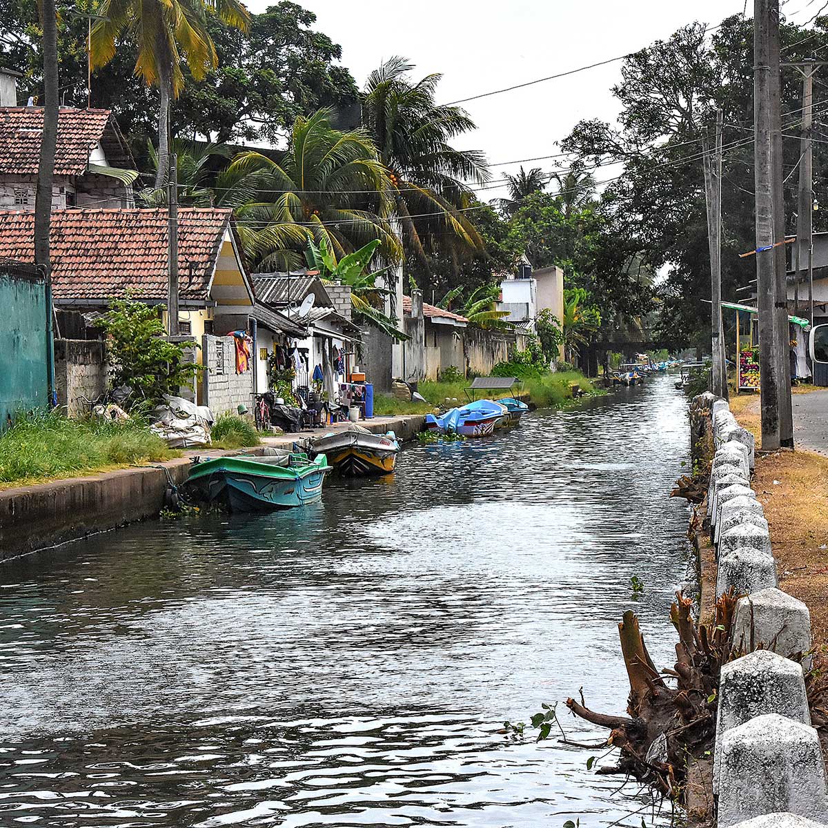 Negombo Spirituális Utazás Srí Lanka