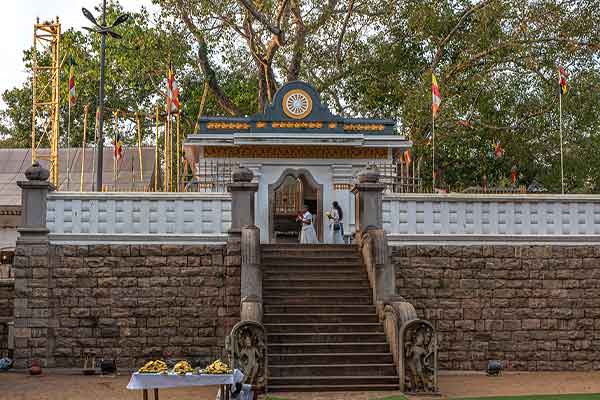 Jaya Sri Maha Bodhi