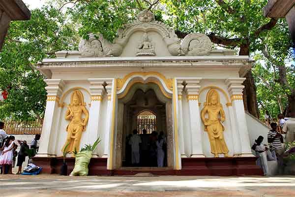 Jaya Sri Maha Bodhi
